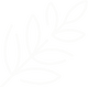 Fauna x Flora